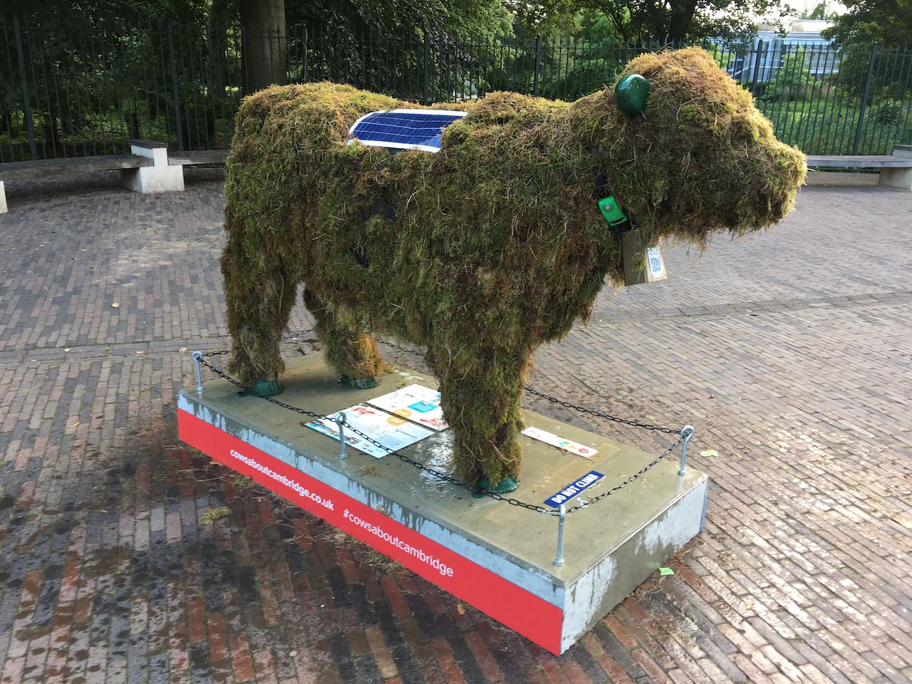 Moss Cow in front of a Stagecoach electric bus